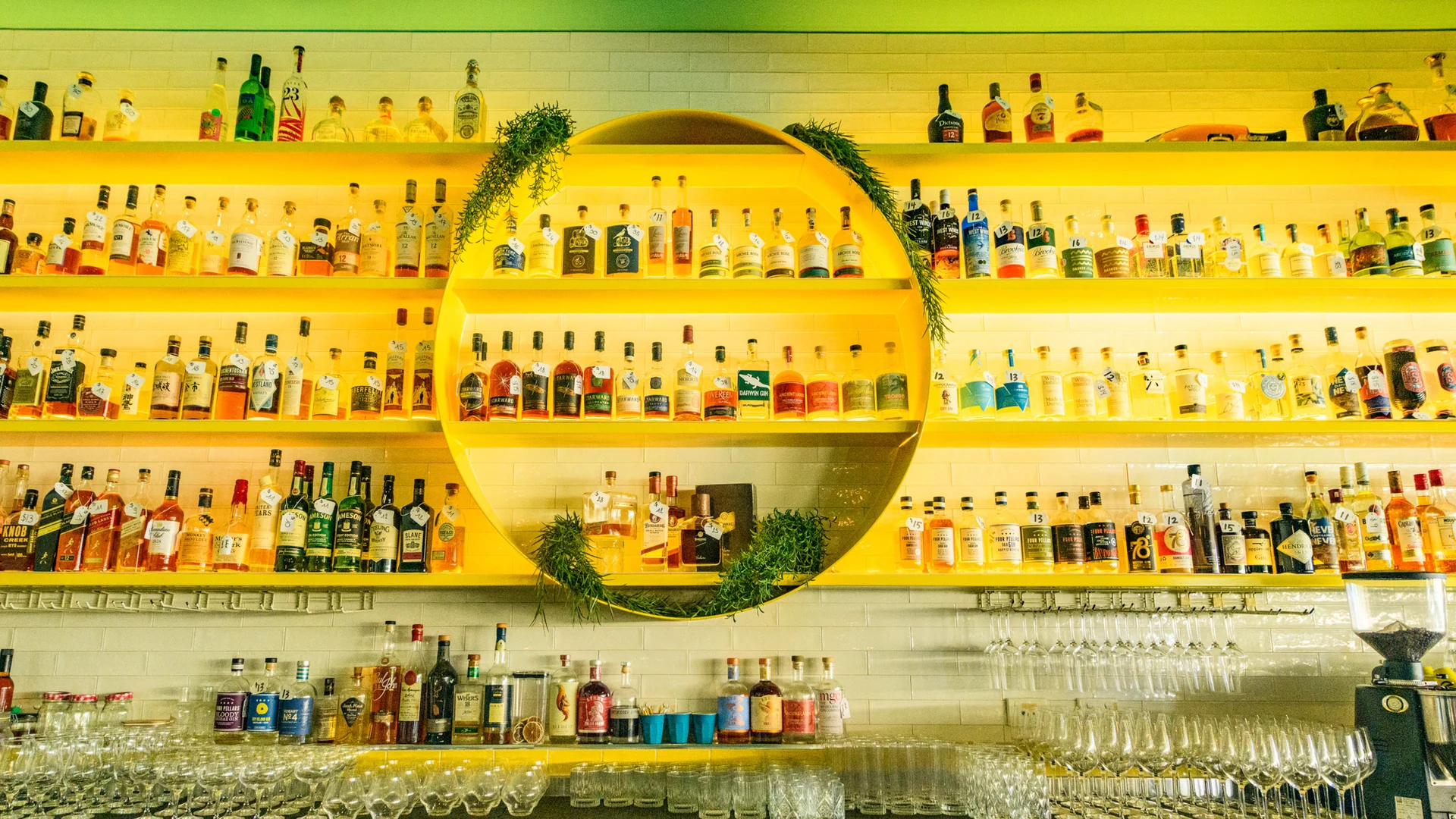 The bright yellow Snapper Rocks bar with spirits, greenery and glassware